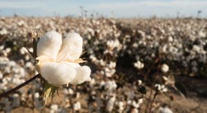 gtw 3.1 denetim uygunsuzlukları