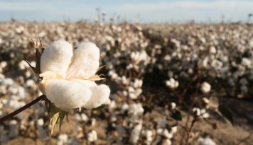 gtw 3.1 denetim uygunsuzlukları